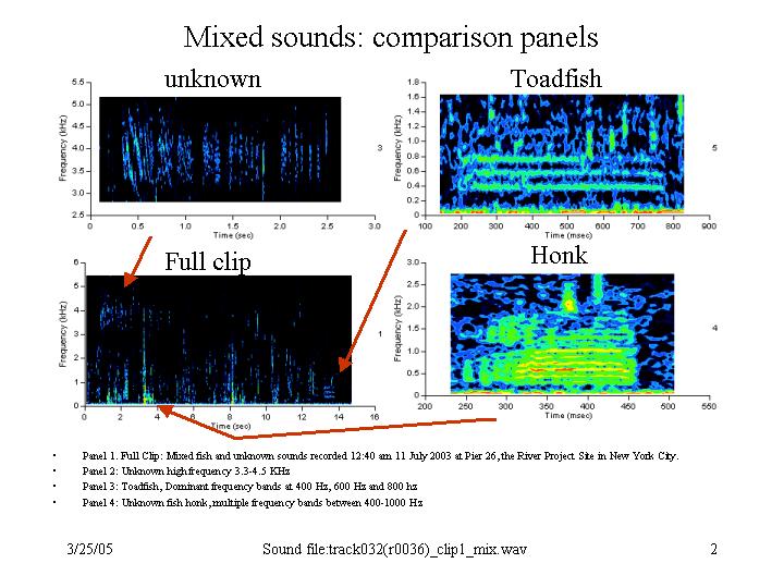 mixed sounds